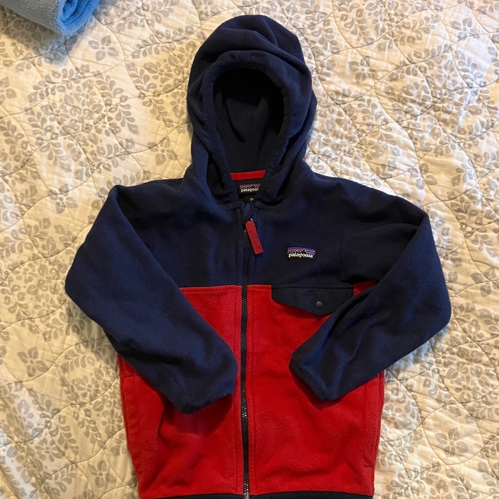 Patagonia Kids' Blue and Red Hoodie